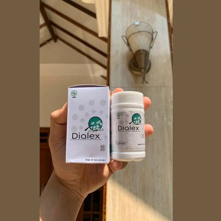 Dialex — gambar 1