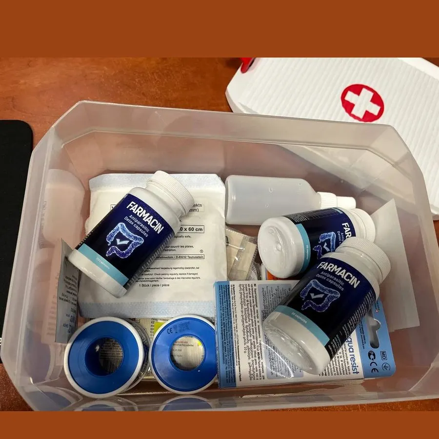 Farmacin — pilt