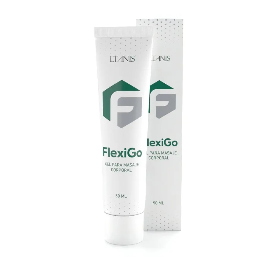 FlexiGO — imagen 3