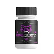 HomoErectus — image 2