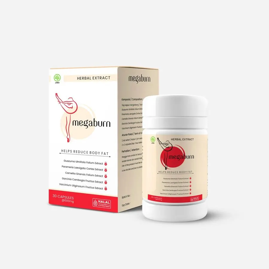 Megaburn — gambar 3