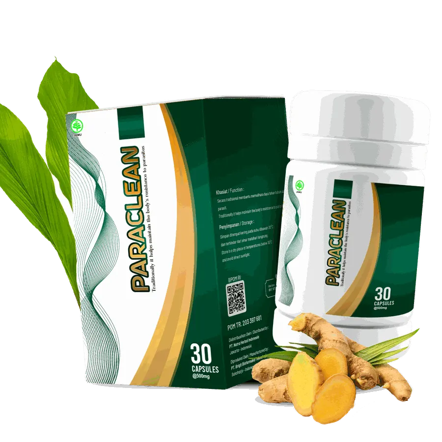 Paraclean — gambar