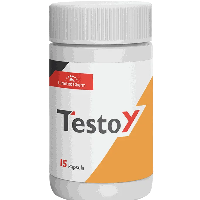 TestoY — slika 2