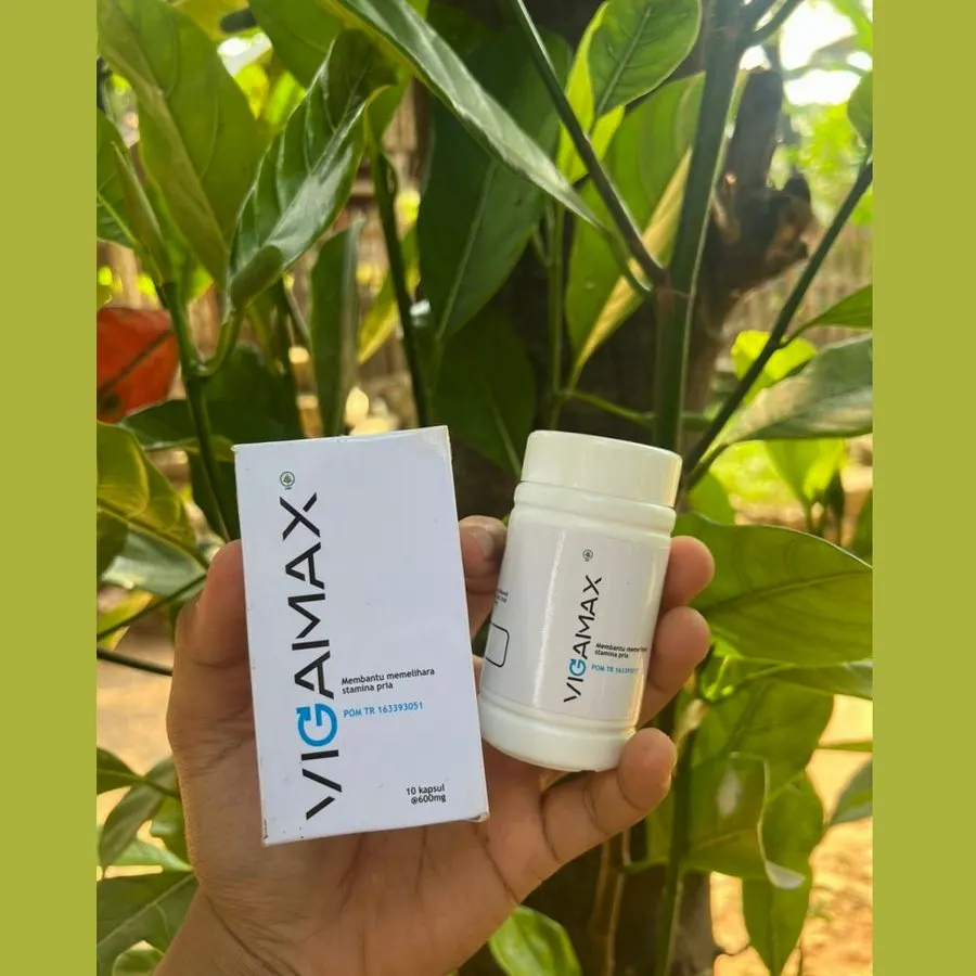 Vigamax — gambar 2