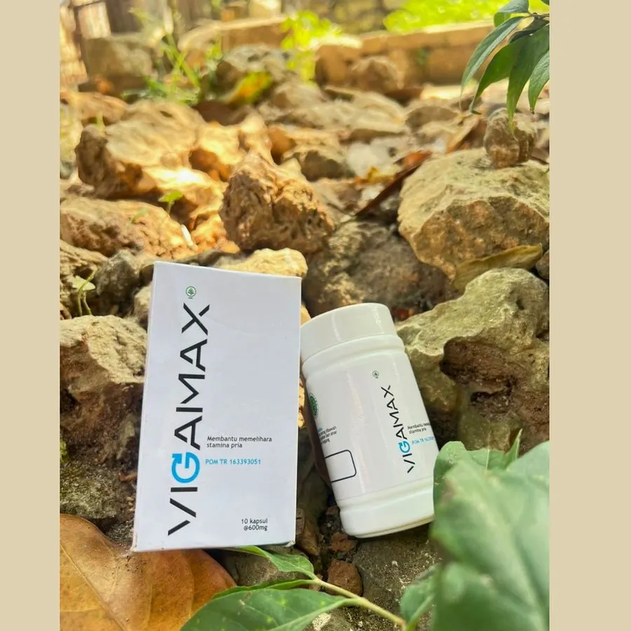 Vigamax — gambar 3