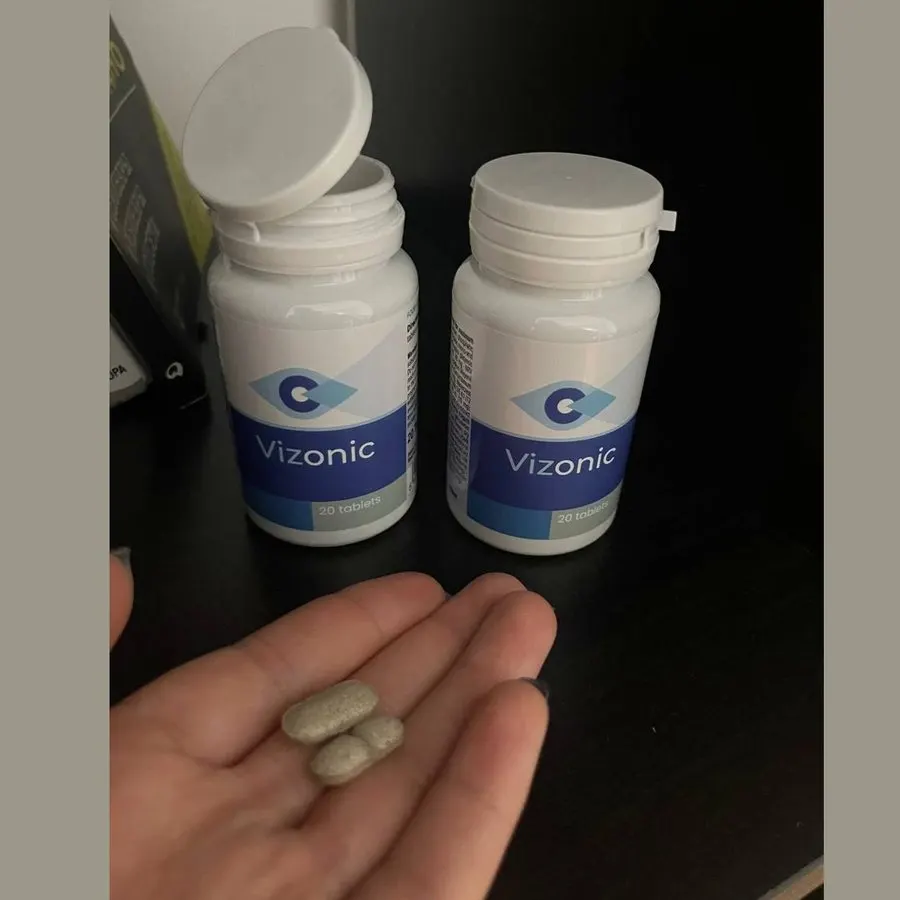 Vizonic — image 2